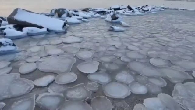 Ледяные медузы Бердянск смотреть онлайн