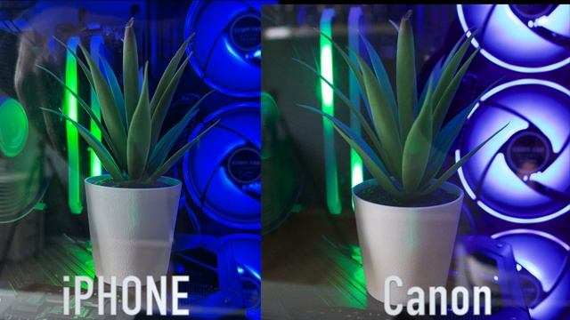 iPhone 14 Pro VS CANON D200 | FOTO/VIDEO TEST! смотреть онлайн