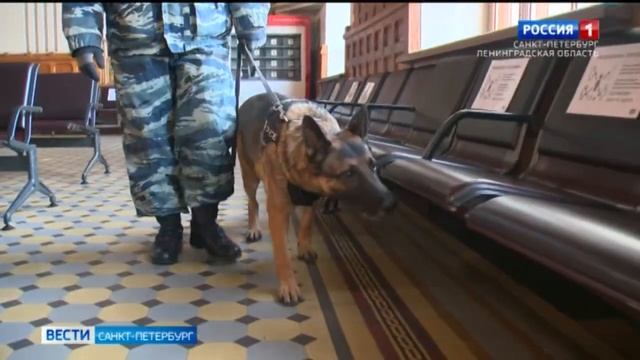 В России отмечают День полиции смотреть онлайн