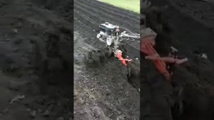 Посадка картошки мотоблоком на фрезах