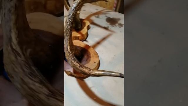 подставка из спила (массива, слэба) дерева смотреть онлайн