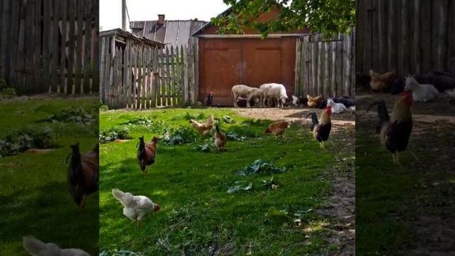 Чем старше становишься, тем больше хочется вернуться туда, где был в детстве... смотреть онлайн