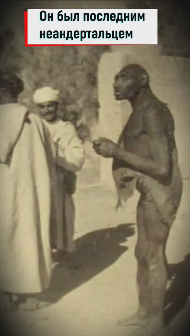 Азза Басоу - последний неандерталец. #древниелюди #Неандерталец