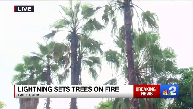 Lightning strike lights 5 palm trees on fire near Cape Coral homes смотреть онлайн