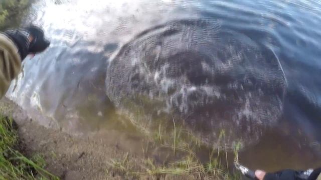 Рыбалка в Сургуте Каменный Мыс 19 07 2017 Fishi смотреть онлайн