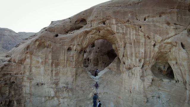 TIMNA смотреть онлайн
