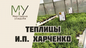 Обзор тепличного комплекса И.П. Харченко
