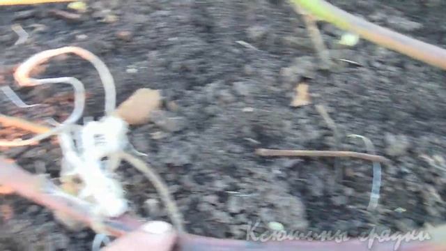 ВЕСЕННИЕ РАБОТЫ НА ЕЖЕВИКЕ 1 смотреть онлайн