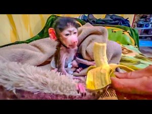 ВОТ ТАК Люся спит и просыпается!