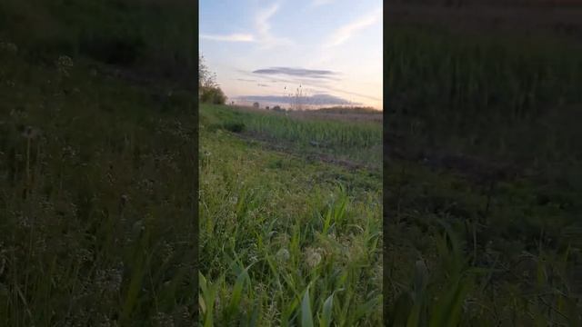 Казачья песня #природароссии #пейзаж #Россия #деревня #река #родина #традиции #казачество смотреть онлайн