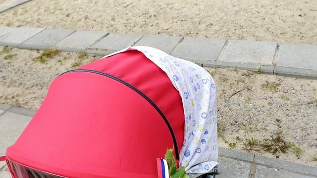 VLOG: Рацион ребёнка и смесь Nutrilak. Рыбный день. Прогулка с детьми. (24.06.20)