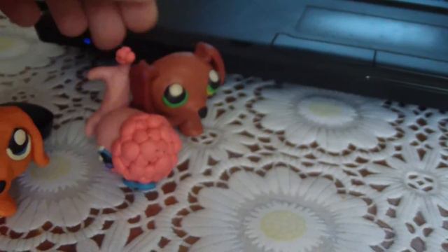 Колекцыя ЛПС