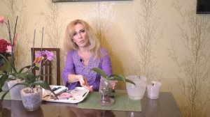 Размещение фитиля в горшочке. Результаты реанимации орхидей на фитиле!