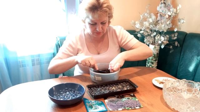 ГИДРОГЕЛЬ!!! Сеем мелкие (мелкопыльные) семена Лобелии в гидрогель! Супер способ!!!