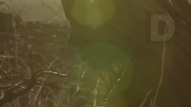 ¿Por qué las mujeres himba no se bañan, pero huelen bien? смотреть онлайн