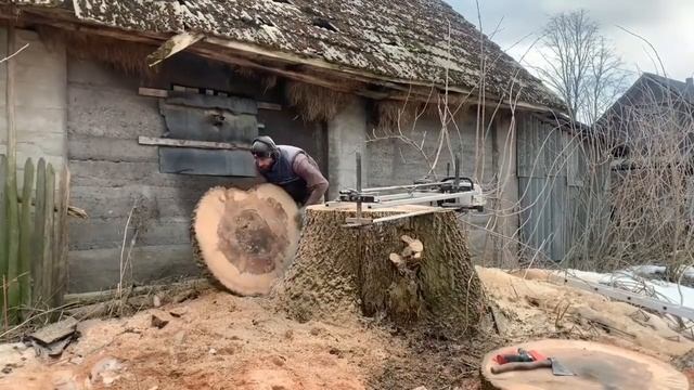 Пень ясеня с сюрпризом /Как убрать пень смотреть онлайн