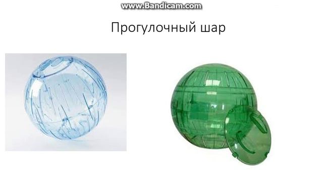Не покупайте это своему хомяку!!!! смотреть онлайн