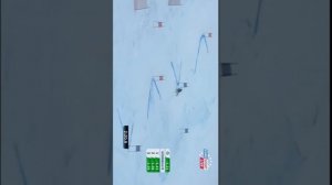 Горные Лыжи Техника Тед Лигати