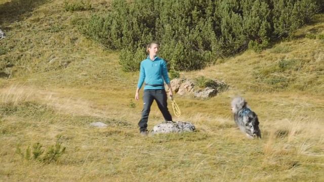 Hurtta Active Harness — шлейка для собак смотреть онлайн