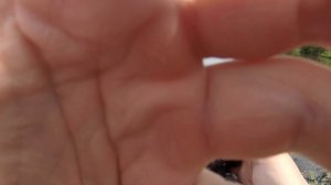 Твичинг воблеров Ва-Банк №5. Этот воблер каждая щучка хочет взять за щечку! LAMMTARRA 130F