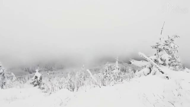 ОККУЛЬТНЫЙ ПРАЗДНИК НОВЫЙ ГОД. ПОЧЕМУ ХРИСТИАНАМ НЕЛЬЗЯ ЕГО ПРАЗДНОВАТЬ?