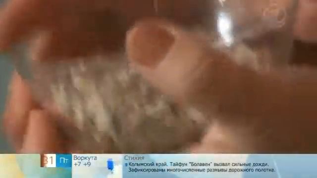 Вдохновение на Тарелке