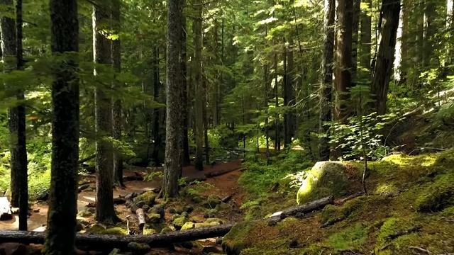 Эту музыку можно слушать вечно !!! Самая Красивая Музыка пробирающая Душу! смотреть онлайн