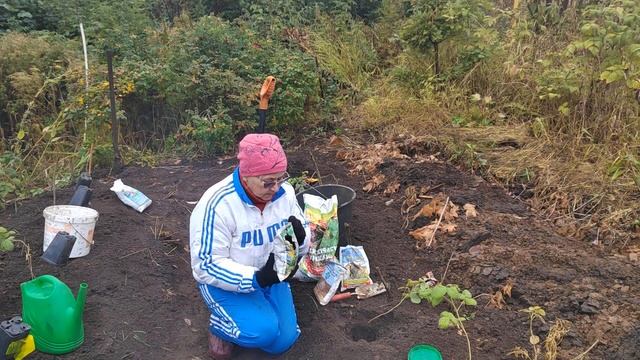 Отправить как я сажаю малину в траншею по ОЖЗ смотреть онлайн
