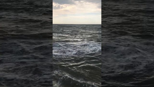 Морюшко25 11 2023 Сочи Лазаревское погодка +17 смотреть онлайн