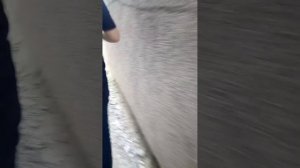 Убил котёнка #1