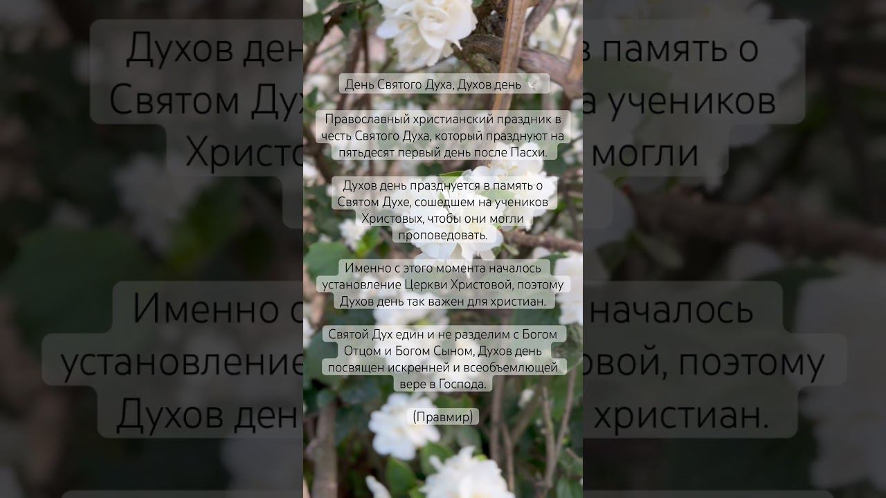 Больше в инст @alena.bgtrv #shorts #православные