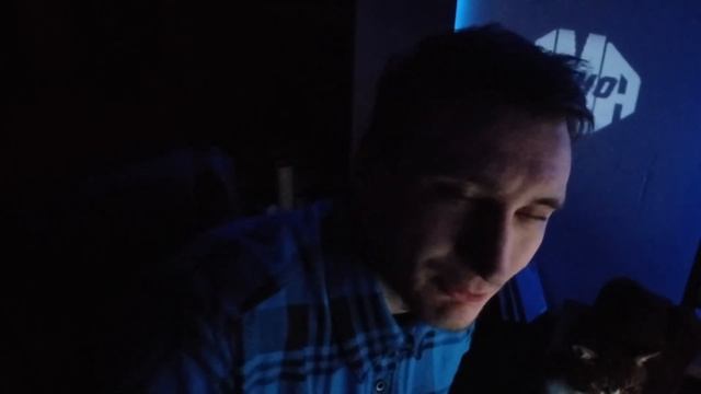 UFC 295 Последствия. Извинения. Прохазка разбил сердце. Павлович потерялся. смотреть онлайн