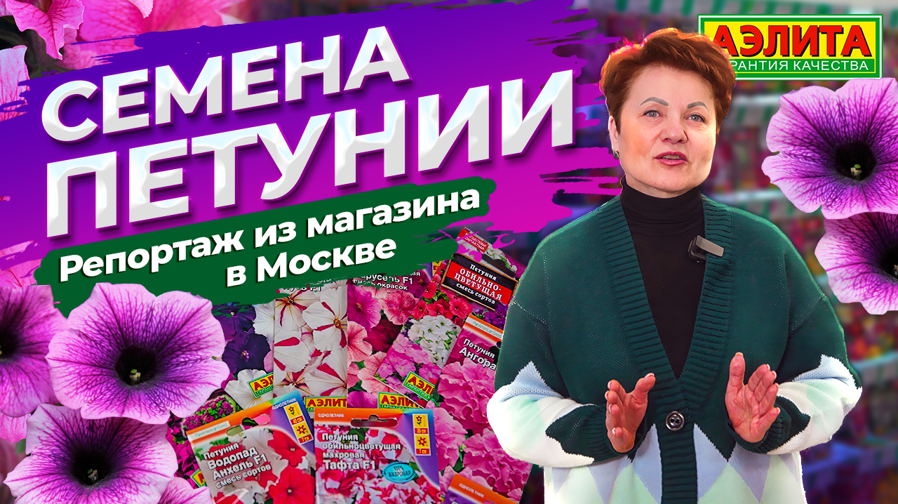 СЕМЕНА ПЕТУНИИ. Разновидности петунии. смотреть онлайн