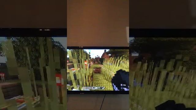 The Mega Rollercoaster смотреть онлайн