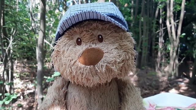 ПУЗИК - НЕ ШОУ. Стихи Эмили Дикинсон. "Шкатулка"???? смотреть онлайн