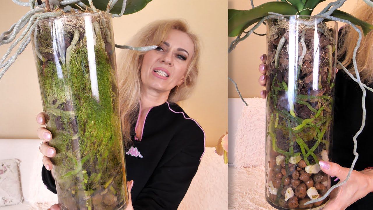 СУМаСШЕДШИЕ КОЛБЫ с орхидеями! Как вырастить такое?! смотреть онлайн