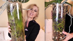 СУМаСШЕДШИЕ КОЛБЫ с орхидеями! Как вырастить такое?!