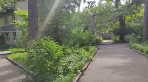 видео обзор по санаторию Серебряный бор в городе Пенза #видеообзор #санаторий #пенза #серебрянныйбо