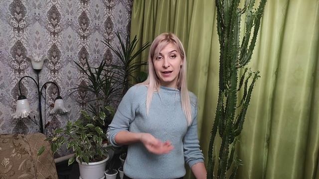 Молочай треугольный. Уход и размножение. Неприхотливый сад смотреть онлайн