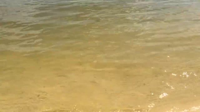 Ростовская область. Каменск-Шахтинский. Пляж. 19.07.2018, 10:16