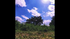 Sunbyonic - One's inmost