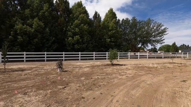 Planting Sumacs and Elderberries! ? // Garden Answer смотреть онлайн