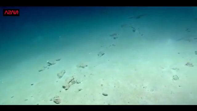 Первые съемки океана на планете Европа сделанные канадским космическим зондом CANULAR