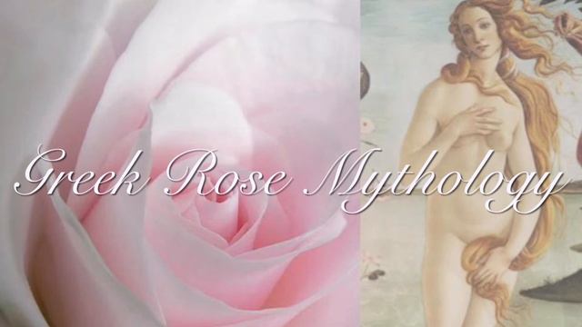 The Greek Rose Mythology Of Aphrodite смотреть онлайн