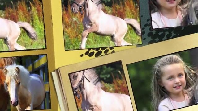 Продажа пони ОГРОМНЫЙ ВЫБОР смотреть онлайн