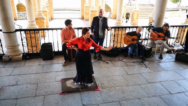 Flamenco en plaza de España de Sevilla, España смотреть онлайн