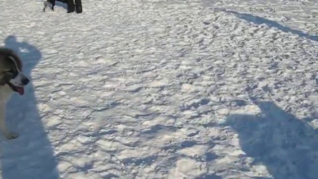 Мира 2 смотреть онлайн