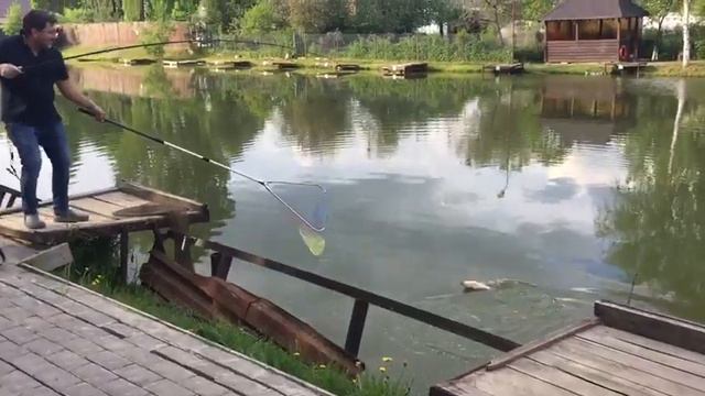 Ловля карпа на ,,вечёрке,, . РК Фишка Липки. смотреть онлайн