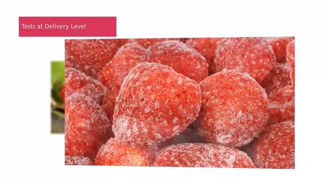 Agrana Presentation  на русском