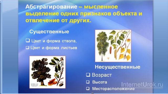 Образование понятий. Видеоурок по информатике 6 класс смотреть онлайн